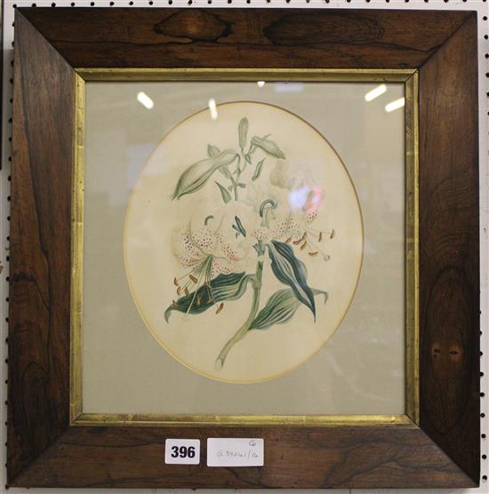 Rosewood framed - study flowers